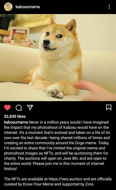 dogecoin reddit